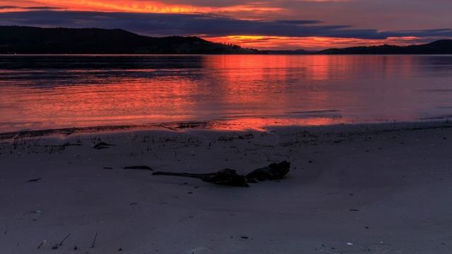 Magnus Ringblom - Blue Night, Relaxing Jazz Music, Saxophone, Trumpet & Piano Jazz Music