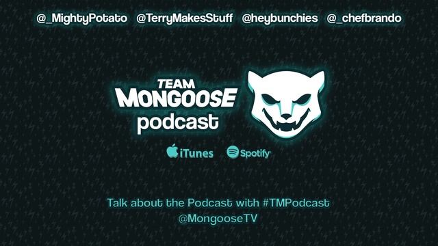 Team Mongoose Podcast 173 - Video Game Homework