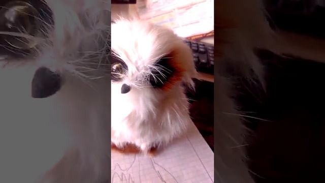 Привет Валерка Лерка и печенька ну и МяТкА МяЛ простите если не так:"-(