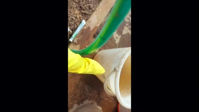 да будет вода🤗 фитоспарин сила🥇