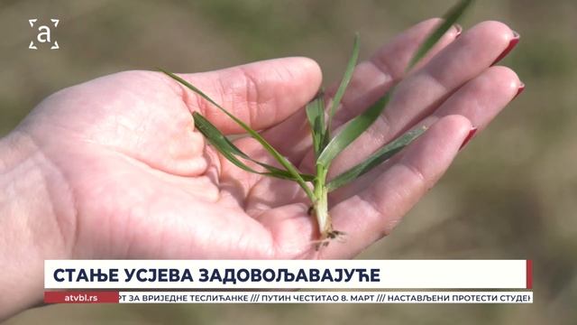 СТАЊЕ УСЈЕВА ЗАДОВОЉАВАЈУЋЕ