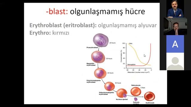 Tıbbi Terminoloji Dersi 2