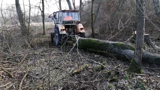 Wyjazd do lasu #Ciężkie warunki #Perkins nie dał rady/ Przyczepy bokiem !