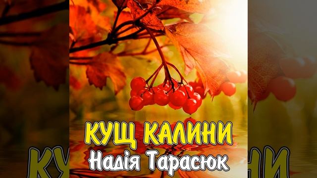 У вишневому садочку