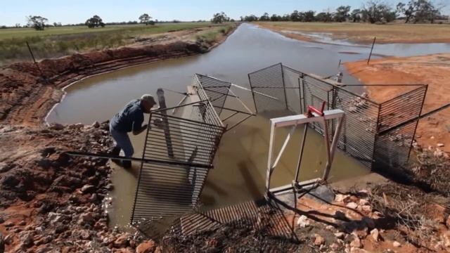 Cherax Swamp and Hobblers Lake bounce back