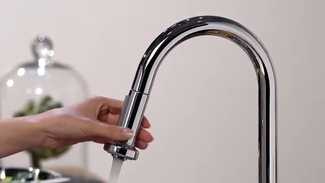 Hansgrohe Talis S2 Variarc kitchen mixer pull out spray1