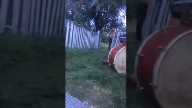 Безбородьки
