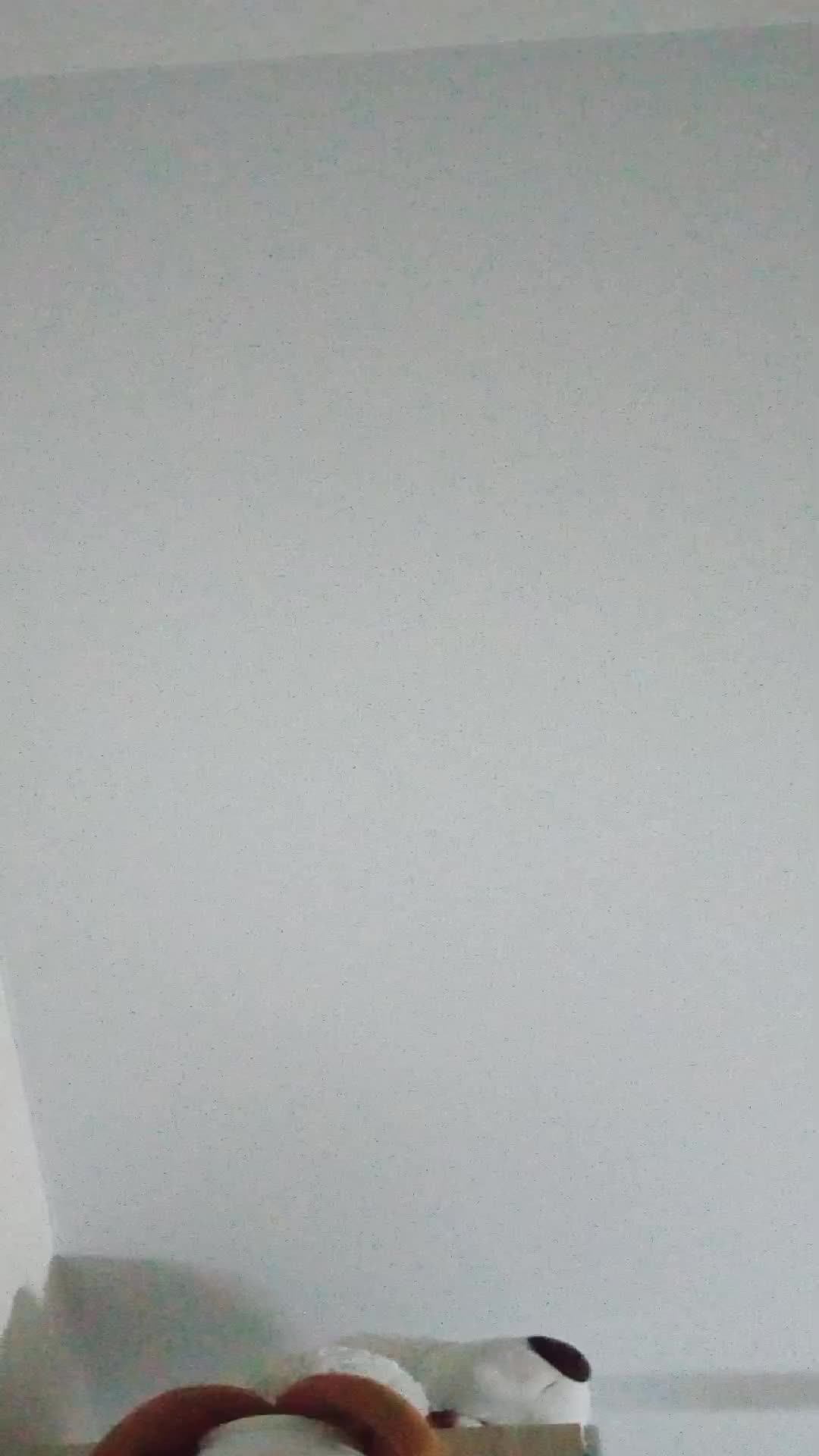 Стилус