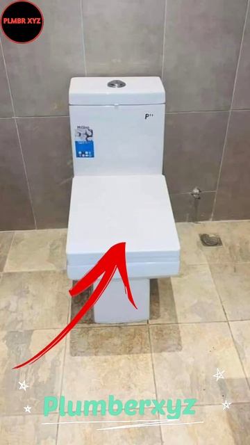 Western Commode Toilet Seat Install #shortvideo #short #youtubeshorts #Plumberxyz