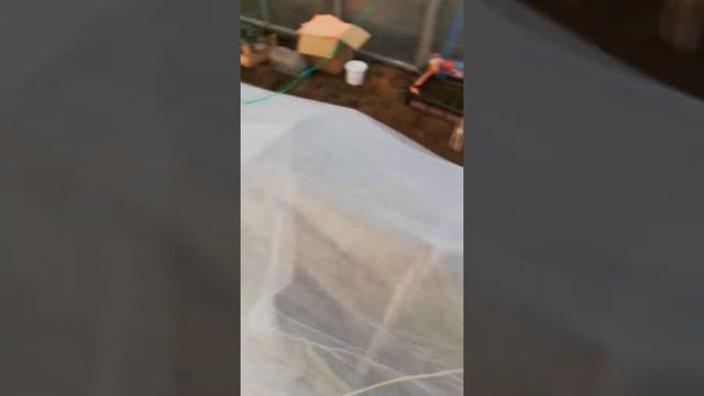 30апреля. Ожидаются заморозки.