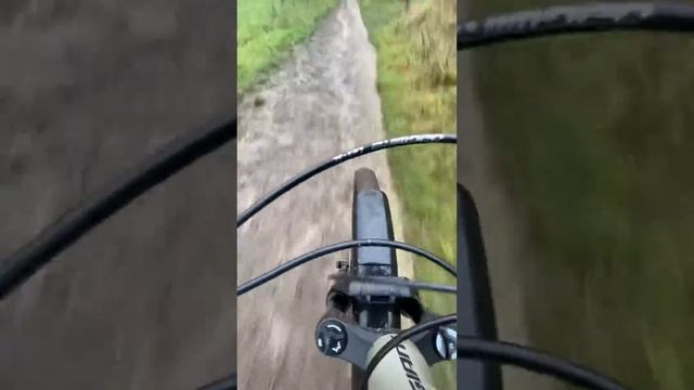 Quad lock iPhone 11 Pro Max test