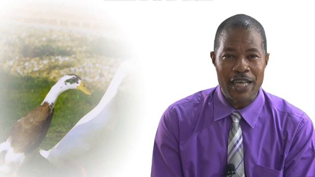 Praise in Peril   Video Devotional   Apr 16, 2022