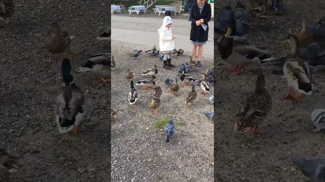 8 октября 2019 г.