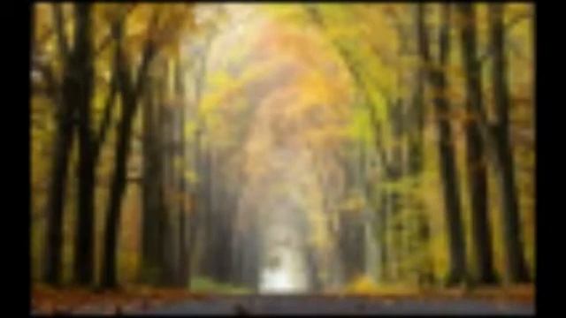 Інна Труфанова. Авторський фрагмент "На гойдалці осені". Ч.1