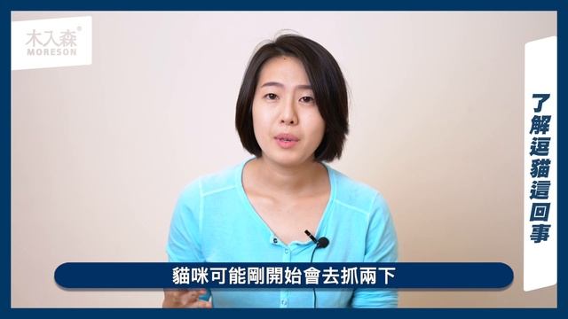 3分鐘解封逗貓訣竅!｜木入森Moreson