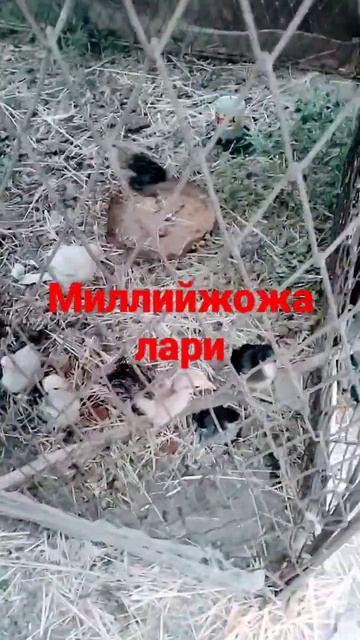 14 июня 2023 г.