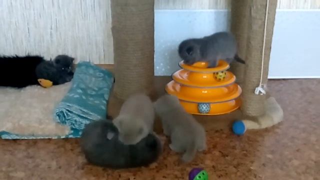 АНТИДЕПРЕССАНТЫ.