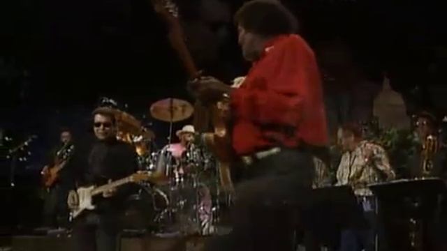 Albert Collins - blues guitarist
