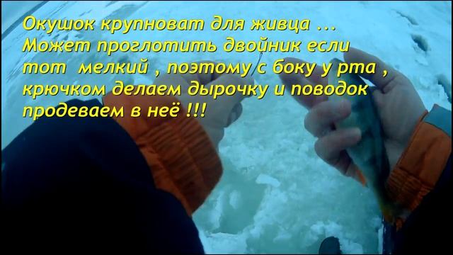 Ловим щуку , окуня + бомбическая поклёвка на ратлин или VIB