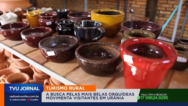 Orquidário em Urânia