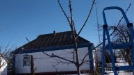 Формирование 3-х летней черешни