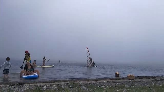 Токаревская Кошка