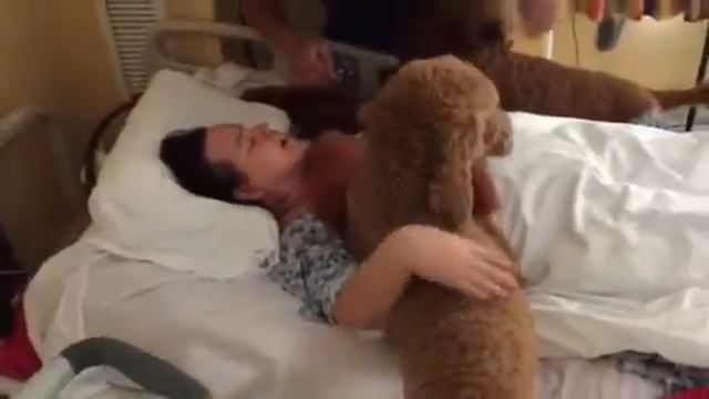 Super Dog Max & Ruby at VA Hospital