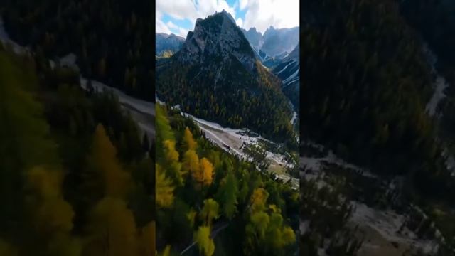 💐Девочки, дорогие, с праздником!