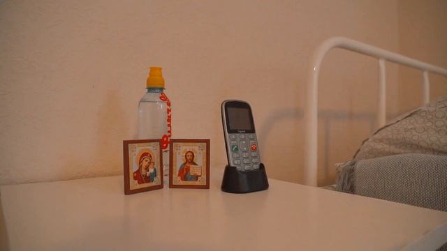 Клён СКСС