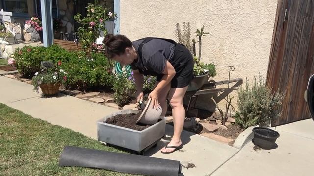 Trash to treasure garden find!