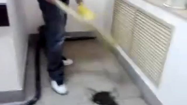Уронил цветок ,дак убери за собой.
