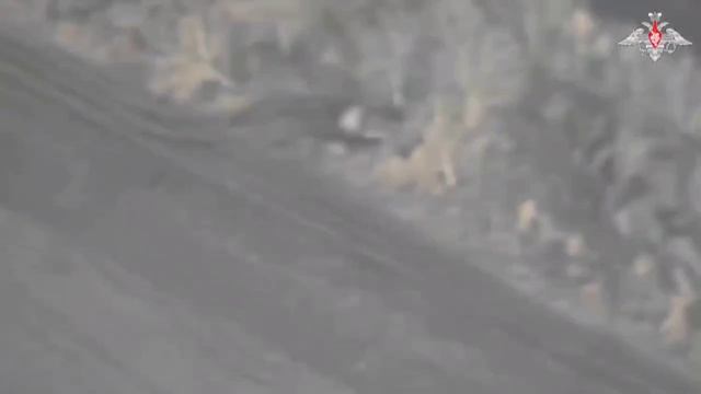 Российские войска освободили населенные пункты Викторовка, Николаевка и Старая Сорочина в Курской