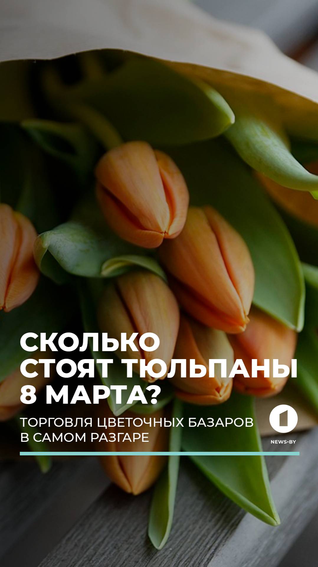 8 марта в Беларуси. Сколько стоят цветы? #8марта #праздник #цветы #беларусь #поздравление #тюльпаны