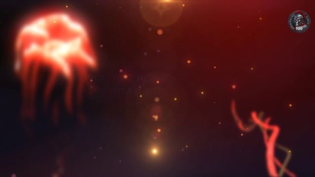 С 8 Марта, наши прекрасные дамы! Бойцы школы ножевого боя "РУДИС" поздравляют вас!