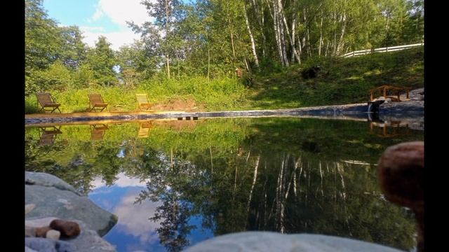 Пруд в "Хвойном парке"💦🏊