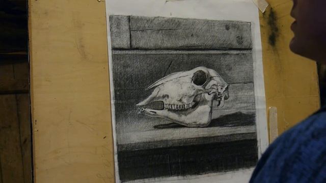 Charcoal Drawing Lesson - How to Draw Sheep Skull Cranium - Artist and Painter Knut Andre Vikshålan