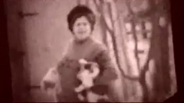 Кошки