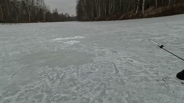 Щуки нет, но есть хорошая плотва!