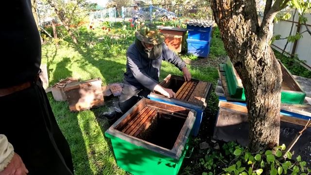 🔴 Купляли бджоли до ночі🐝 Процес пересадження бджолосім'ї в інший вулик. Як купляються бджоли.