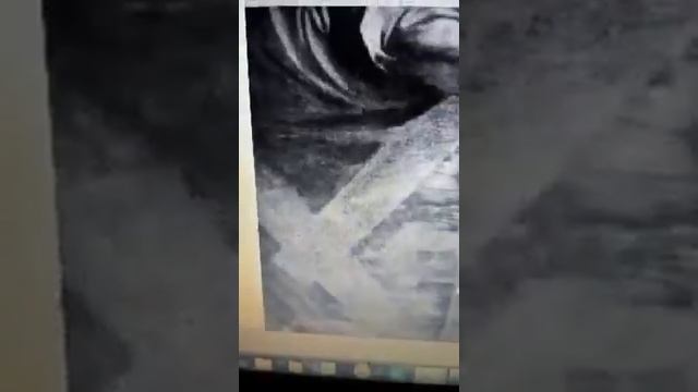 Salvador Mundi di Leonardo  svelato il nome Salai studio Guido Carlucci