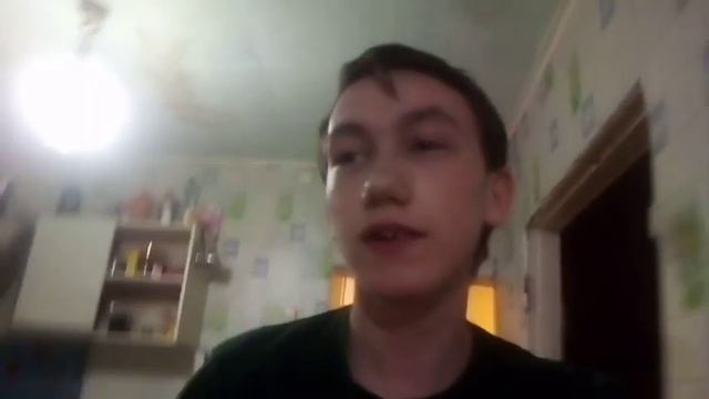 у нас новая кошка тигра 🤯