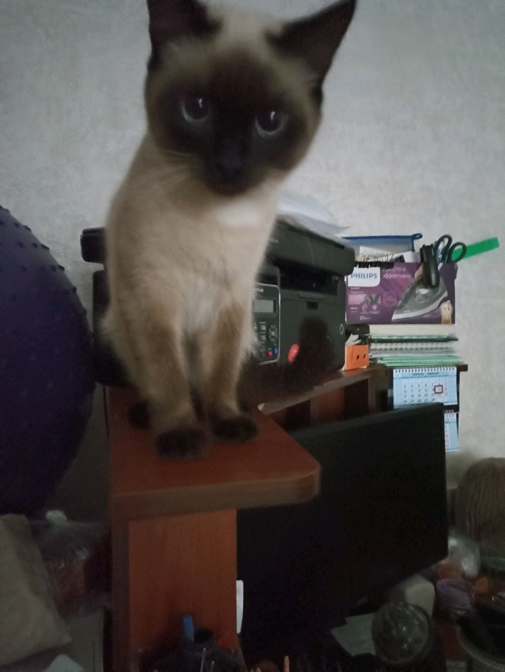 филе