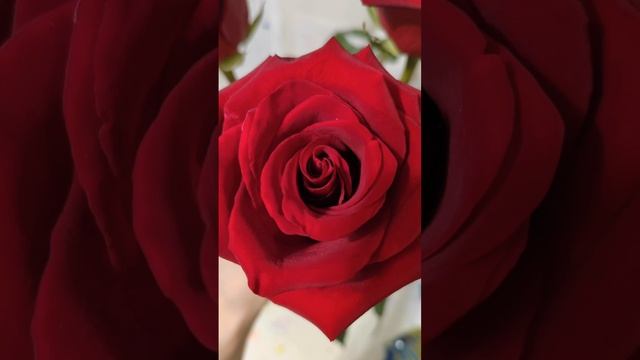 Медитативная практика для знакомства со своими тонкими телами