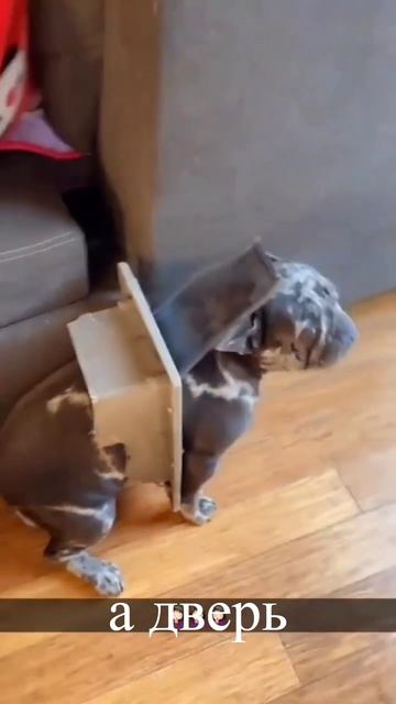 Когда вышел в дверь