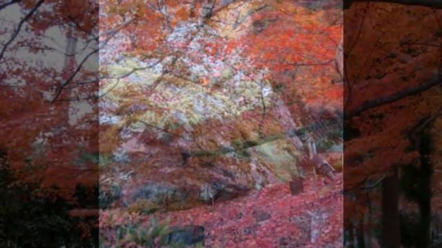 おくりびと--Harmonica