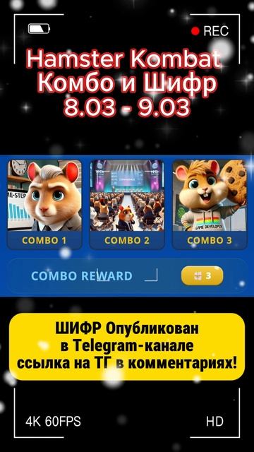 Комбо и Шифр Hamster Kombat combo Хамстер Комбат комбо