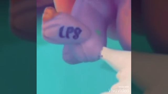 TAG~ТОП5 моих любимых кошек LPS|Пончик Жулик