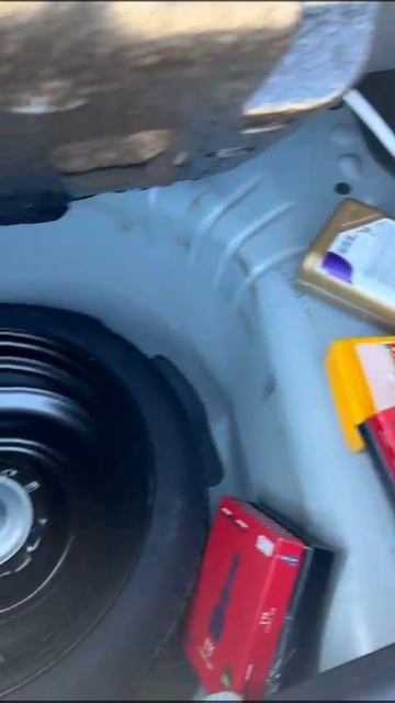 VID-20250308-WA0058.mp4