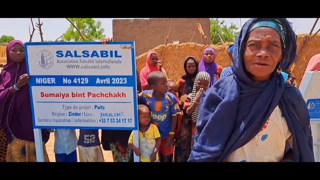 Puits / Колодец №: 4129 Niger
