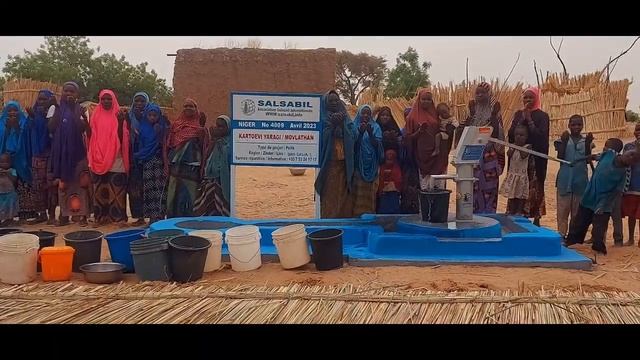 Puits / Колодец №: 4009 Niger